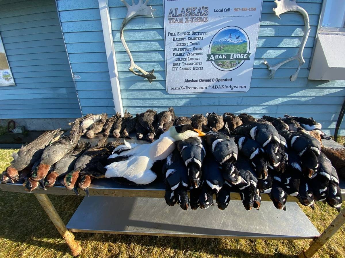 Full waterfowl haul in front of the Adak Lodge sign