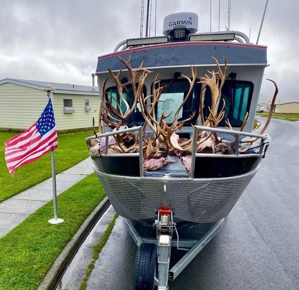 Caribou racks displayed on the boat with American flag