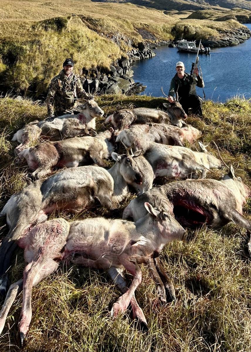 Hunter with harvested Caribou at an Adak lake