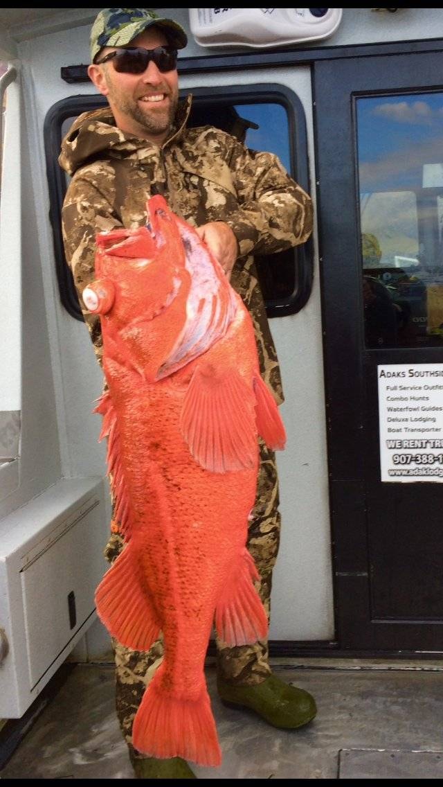 Man in camo holding lingcod on boat