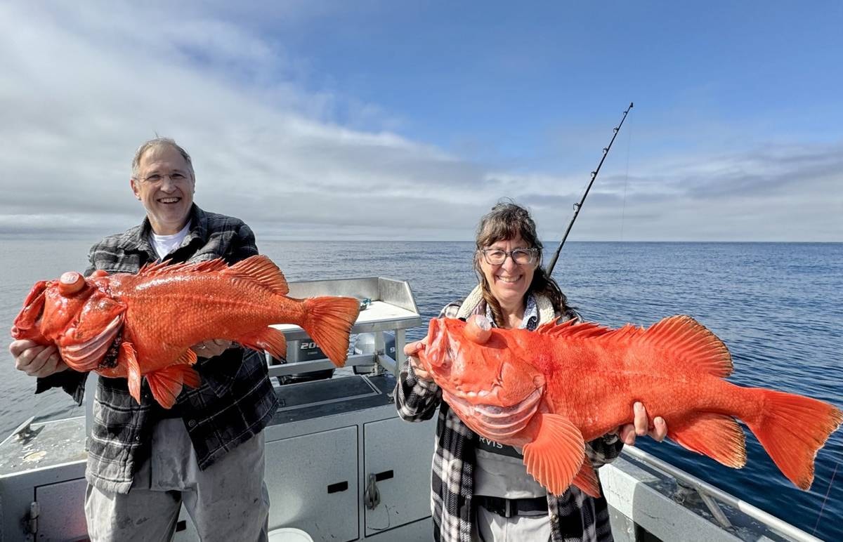 Couple holding large orange rockfish on boat