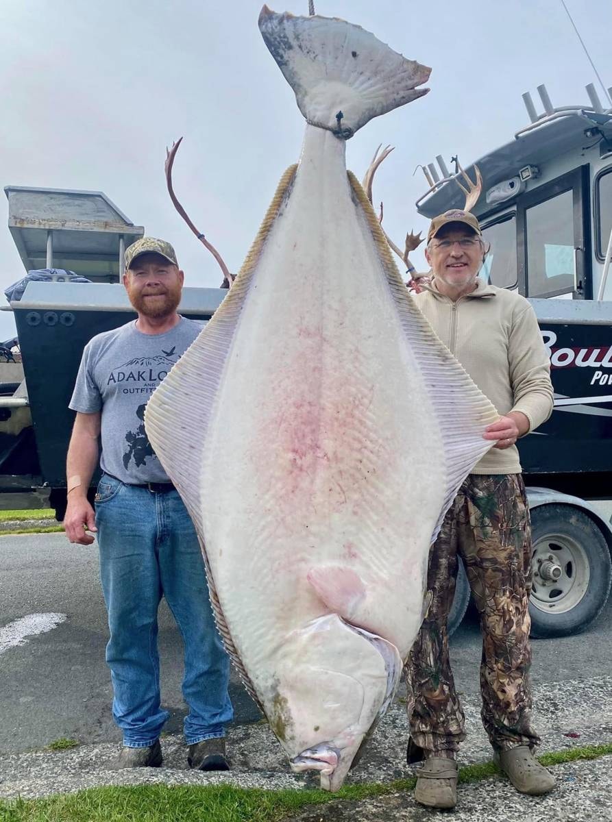 Deep Sea Fishing hunting at Adak Lodge