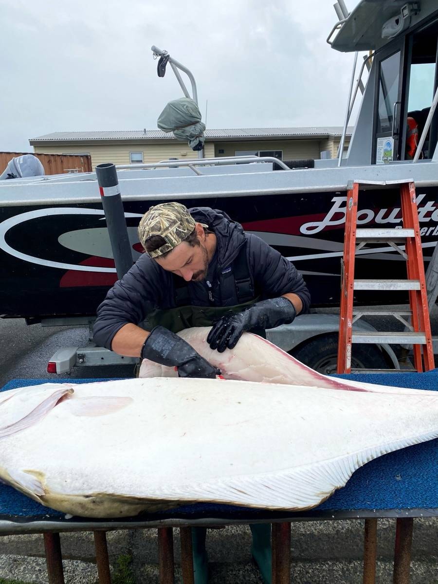 Cleaning halibut on the boat