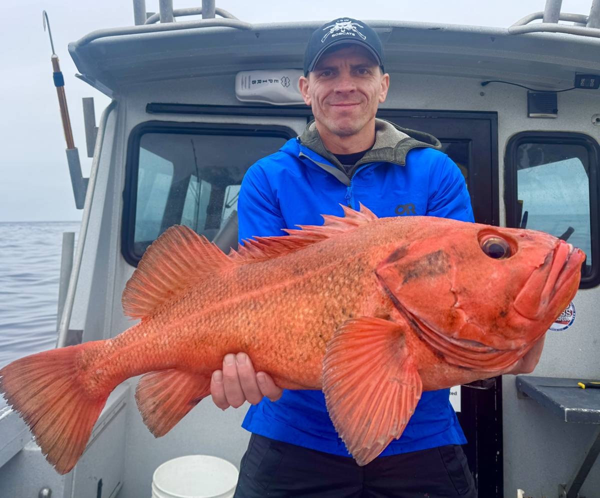Man holding bright red rockfish on boat