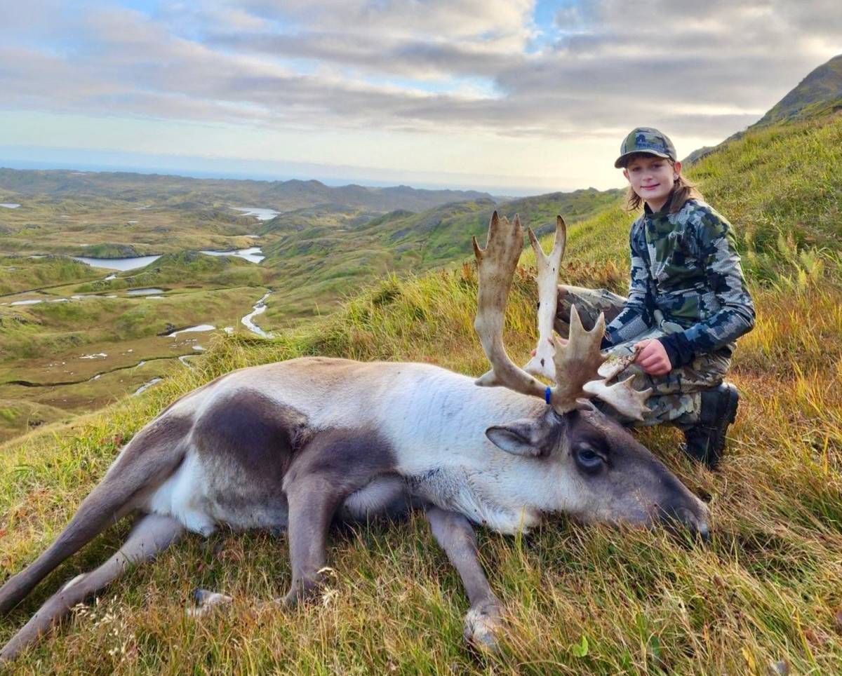 Young hunter with a Caribou bull on the Adak tundra