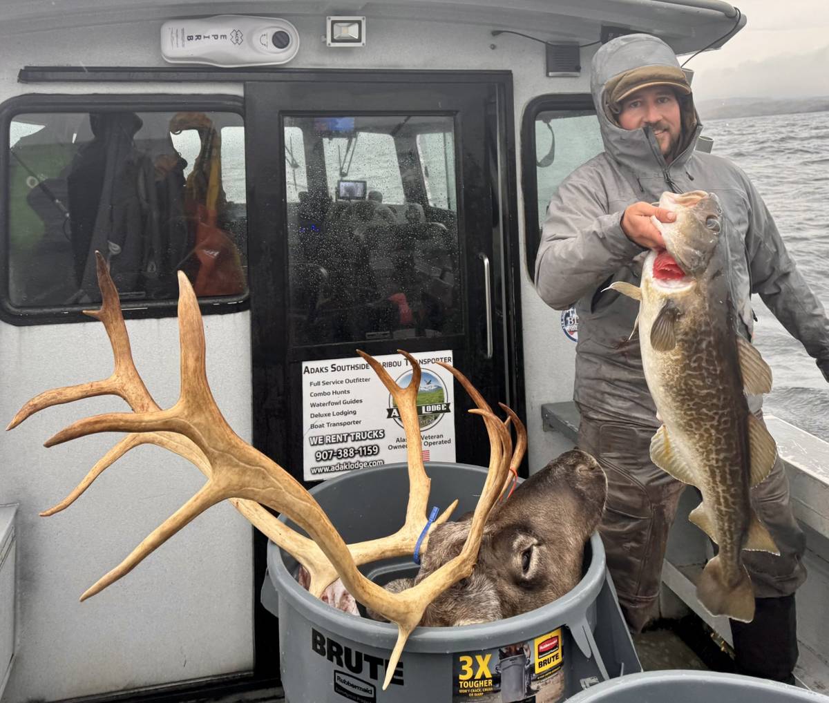 Combo trip with big Cod and Caribou antlers on the boat