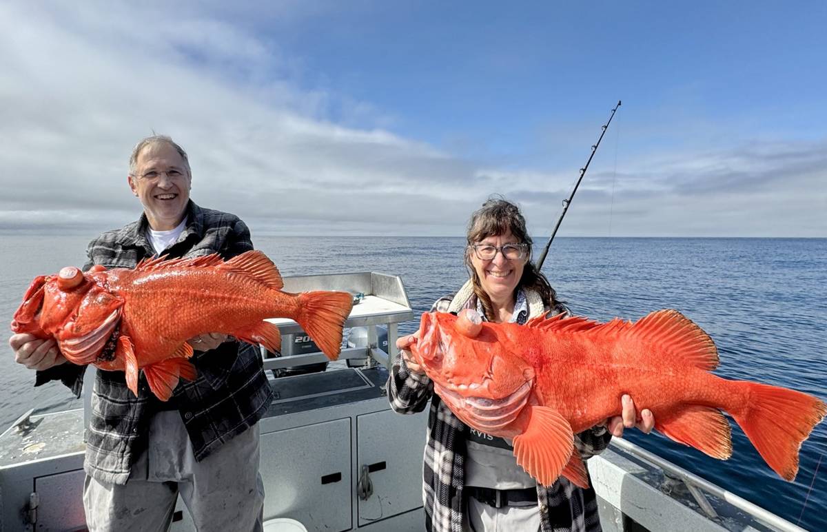 Couple holding two big red Rockfish on the water