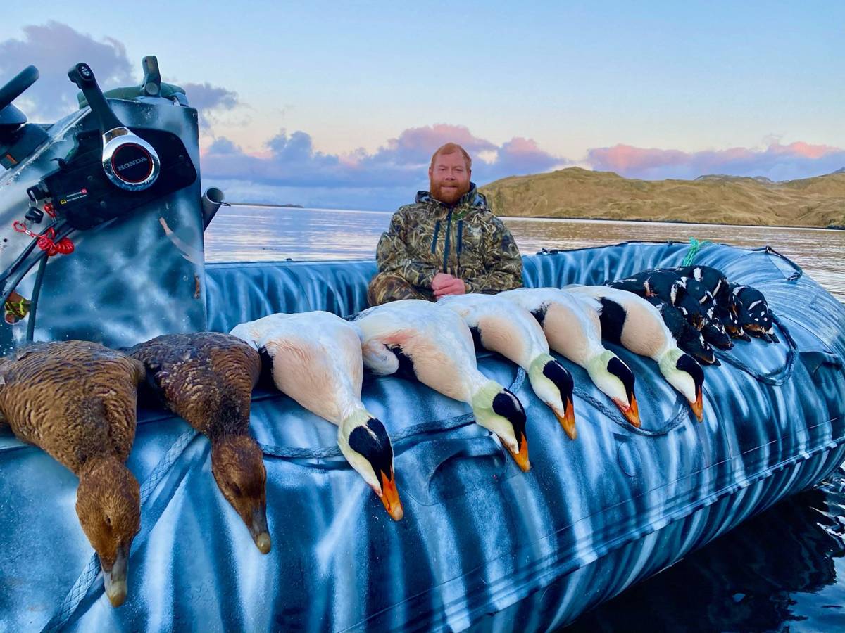 Hunter on the Zodiac with a sunset lineup of Eiders and Harlequins
